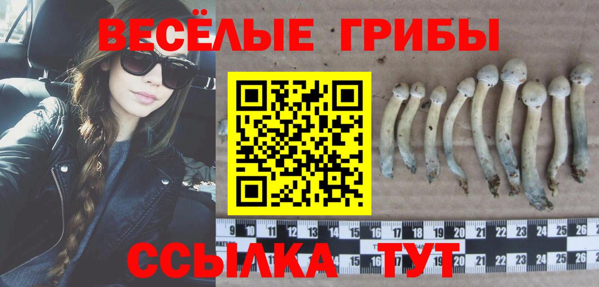 Псилоцибиновые грибы мухоморы  Вход с VPN  Волжск  Псилоцибиновые грибы мухоморы 